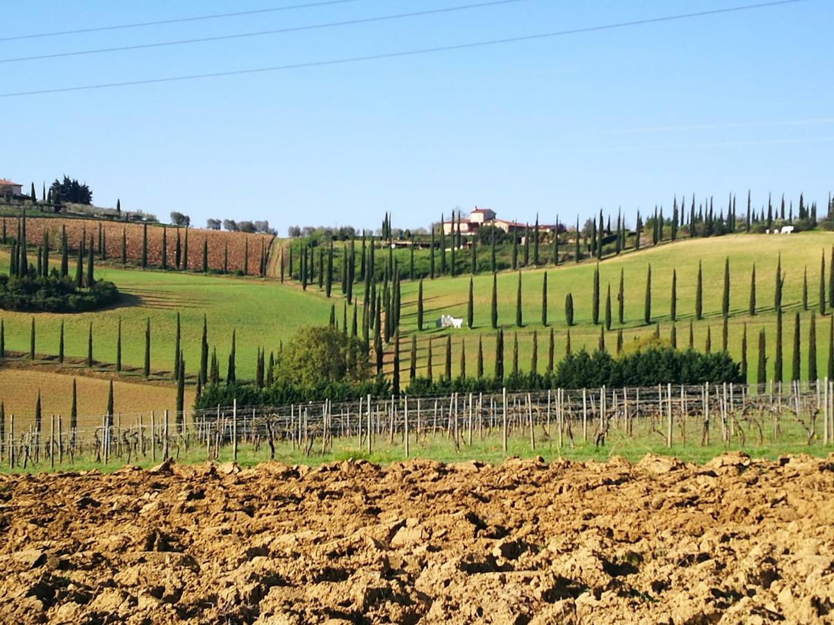 Castello Di Fulignano Ranuccio10 Superior Apartment サン・ジミニャーノ エクステリア 写真